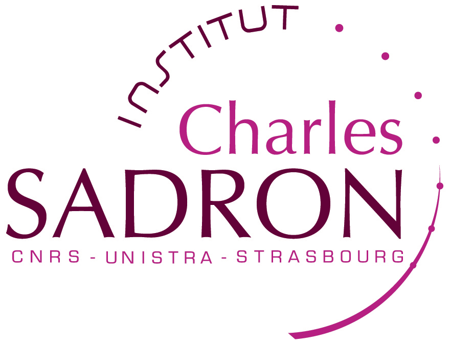 Institut Charles Sadron